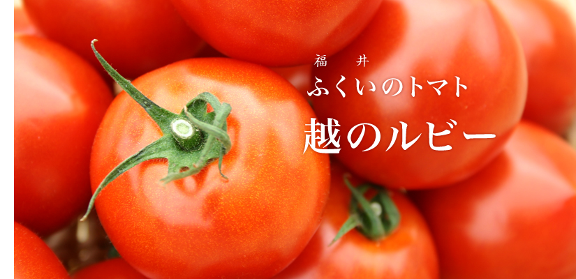 おいしいトマト