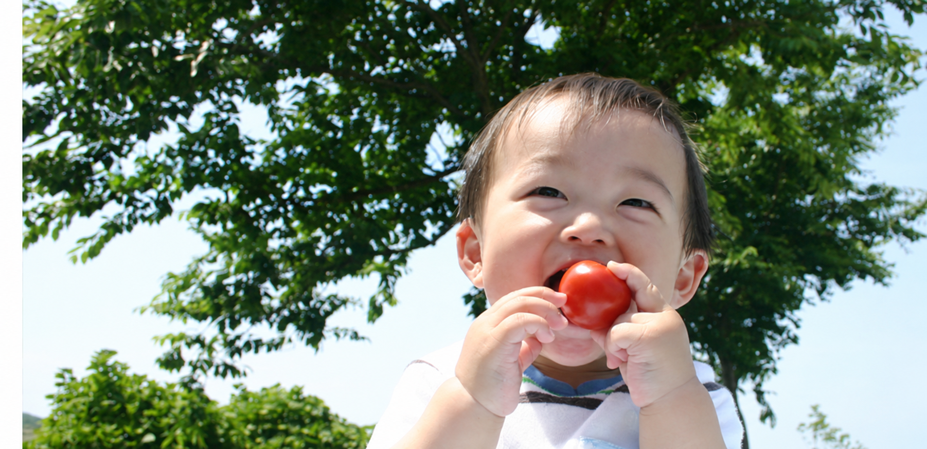 トマトを手に持って食べている子ども